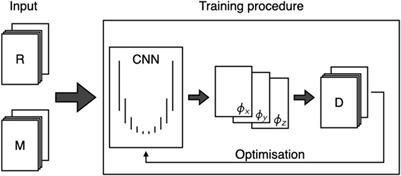 Deep-learning-based deformable image registration of head CT and MRI scans